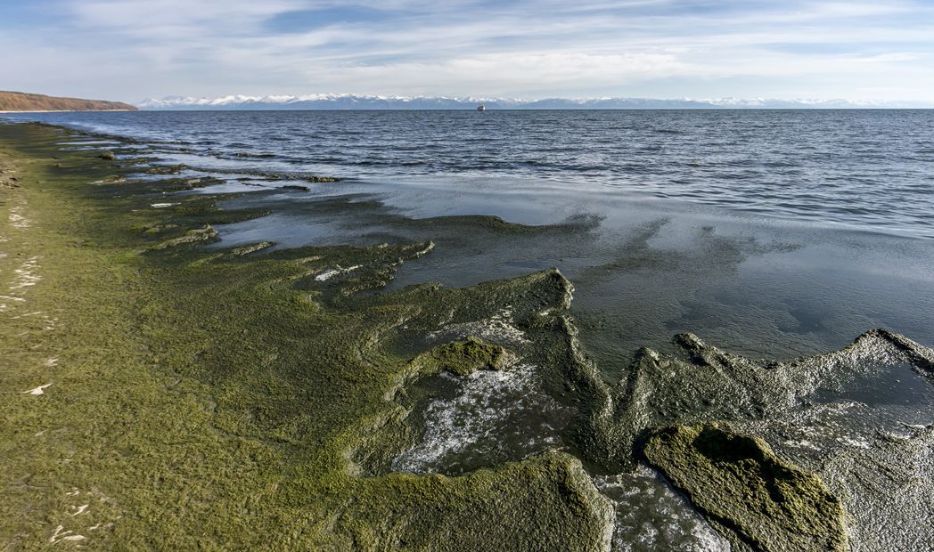 Байкал оказался на грани экологической катастрофы